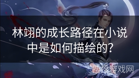 林翊的成长路径在小说中是如何描绘的？
