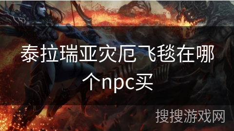 泰拉瑞亚灾厄飞毯在哪个npc买