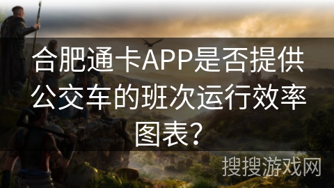 合肥通卡APP是否提供公交车的班次运行效率图表？