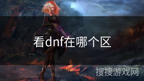 看dnf在哪个区