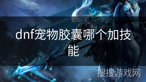 dnf宠物胶囊哪个加技能