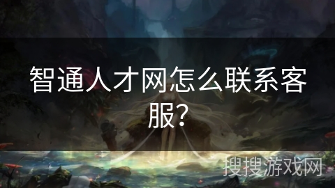 智通人才网怎么联系客服？