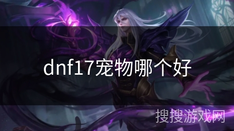 dnf17宠物哪个好