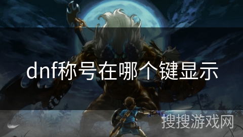 dnf称号在哪个键显示