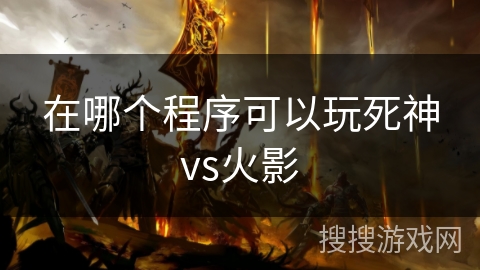 在哪个程序可以玩死神vs火影