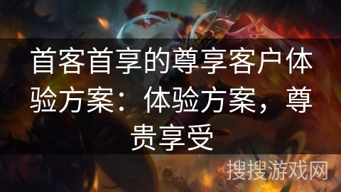 首客首享的尊享客户体验方案:体验方案,尊贵享受 首客首享的尊享客户体验方案:体验方案,尊贵享受