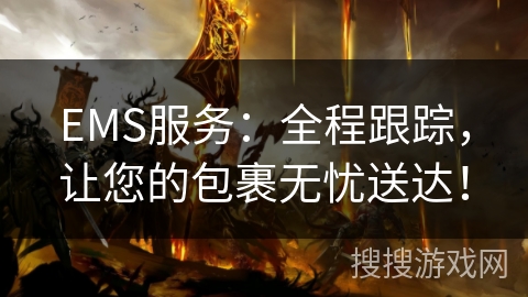 EMS服务：全程跟踪，让您的包裹无忧送达！