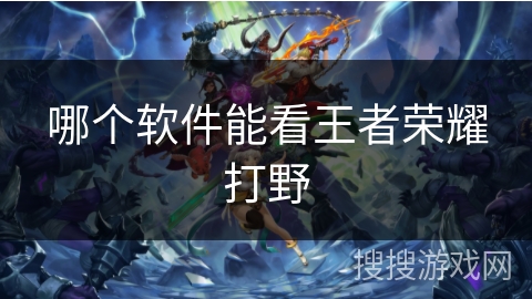 哪个软件能看王者荣耀打野