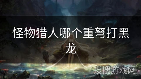 怪物猎人哪个重弩打黑龙