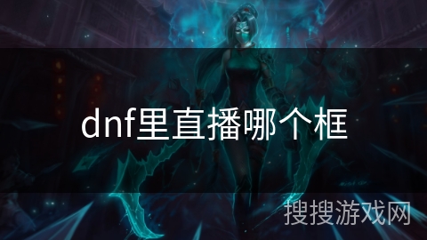 dnf里直播哪个框