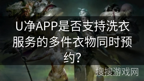 U净APP是否支持洗衣服务的多件衣物同时预约？