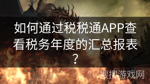 如何通过税税通APP查看税务年度的汇总报表？