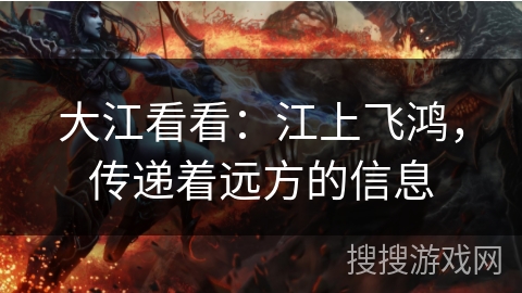 大江看看：江上飞鸿，传递着远方的信息