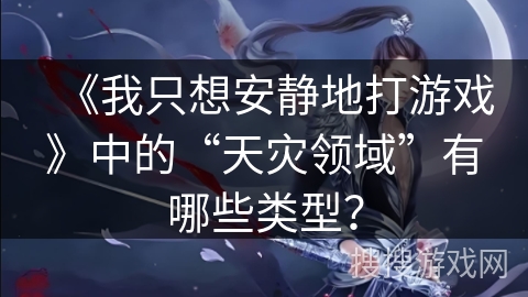 《我只想安静地打游戏》中的“天灾领域”有哪些类型？