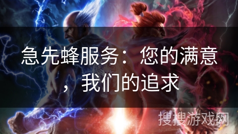急先蜂服务：您的满意，我们的追求