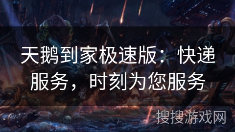 天鹅到家极速版：快递服务，时刻为您服务