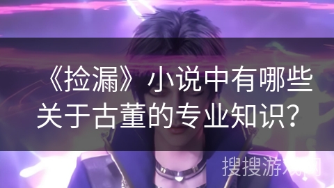 《捡漏》小说中有哪些关于古董的专业知识？