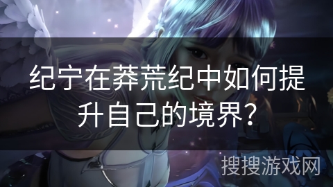 纪宁在莽荒纪中如何提升自己的境界？