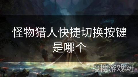 怪物猎人快捷切换按键是哪个