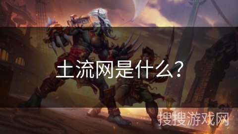 土流网是什么？
