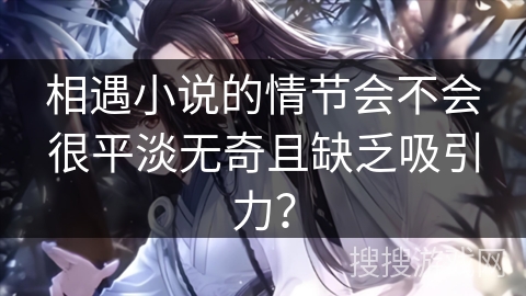 相遇小说的情节会不会很平淡无奇且缺乏吸引力？