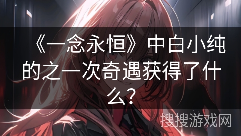 《一念永恒》中白小纯的之一次奇遇获得了什么？