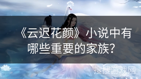 《云迟花颜》小说中有哪些重要的家族？
