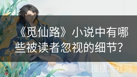 《觅仙路》小说中有哪些被读者忽视的细节？