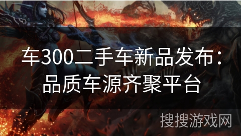 车300二手车新品发布：品质车源齐聚平台