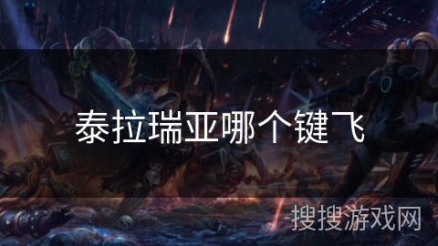 泰拉瑞亚哪个键飞