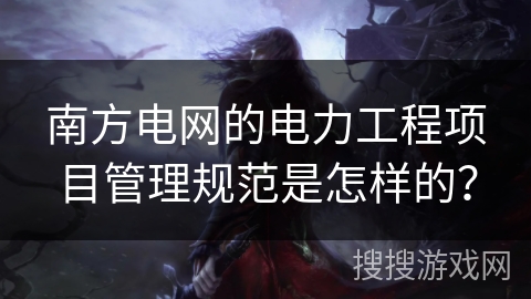 南方电网的电力工程项目管理规范是怎样的？
