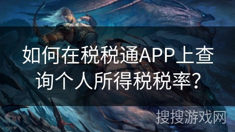 如何在税税通APP上查询个人所得税税率？