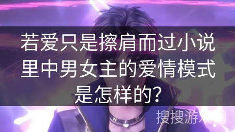 若爱只是擦肩而过小说里中男女主的爱情模式是怎样的？