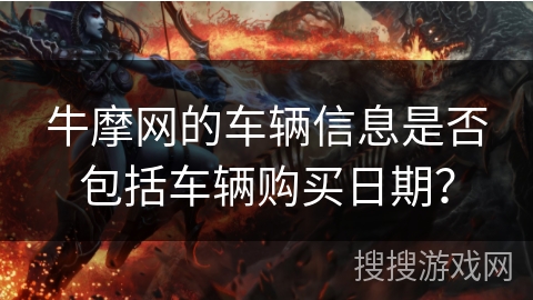 牛摩网的车辆信息是否包括车辆购买日期？