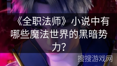 《全职法师》小说中有哪些魔法世界的黑暗势力？