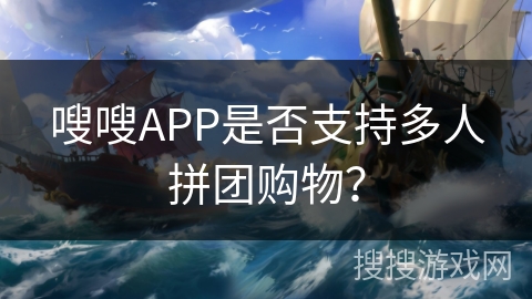 嗖嗖APP是否支持多人拼团购物？