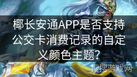 椰长安通APP是否支持公交卡消费记录的自定义颜色主题？