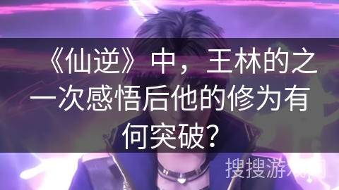 《仙逆》中，王林的之一次感悟后他的修为有何突破？