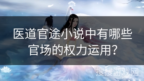 医道官途小说中有哪些官场的权力运用？
