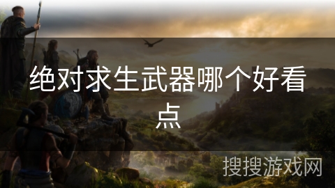 绝对求生武器哪个好看点