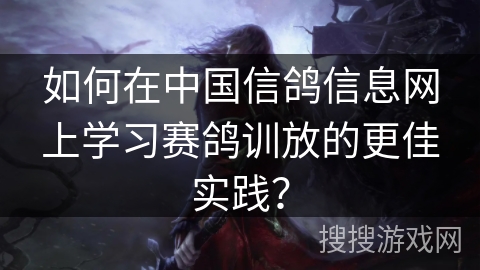 如何在中国信鸽信息网上学习赛鸽训放的更佳实践？