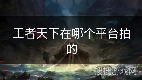 王者天下在哪个平台拍的