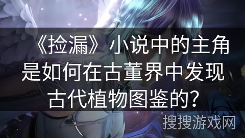 《捡漏》小说中的主角是如何在古董界中发现古代植物图鉴的？