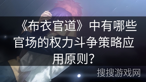 《布衣官道》中有哪些官场的权力斗争策略应用原则？