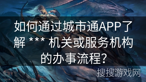 如何通过城市通APP了解 *** 机关或服务机构的办事流程？