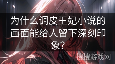 为什么调皮王妃小说的画面能给人留下深刻印象？