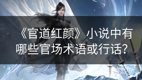 《官道红颜》小说中有哪些官场术语或行话？