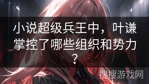 小说超级兵王中,叶谦掌控了哪些组织和势力? 小说超级兵王中,叶谦掌控了哪些组织和势力?