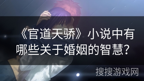 《官道天骄》小说中有哪些关于婚姻的智慧？