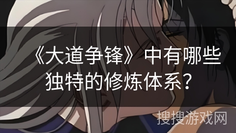 《大道争锋》中有哪些独特的修炼体系？